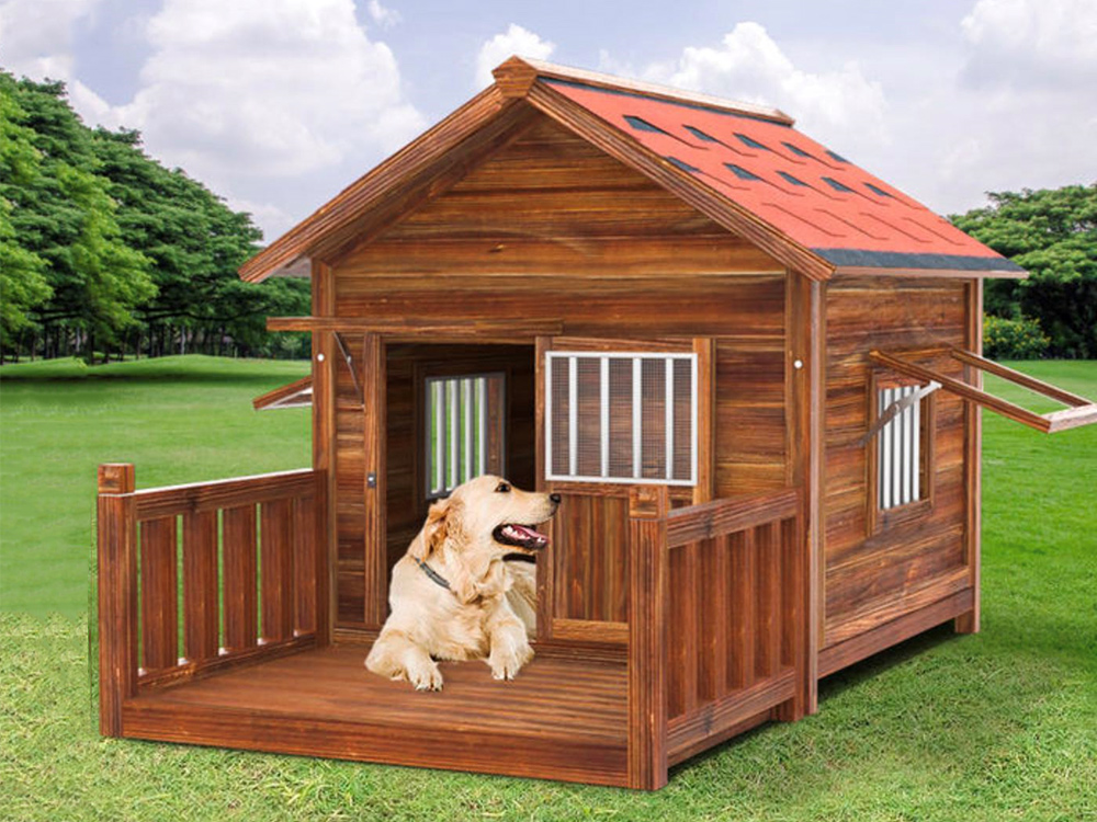 Top 10 Best Outdoor Dog Houses